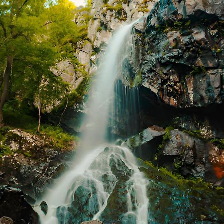 Your Perfect Place To Stay On Vitosha Str Apt ソフィア エクステリア 写真