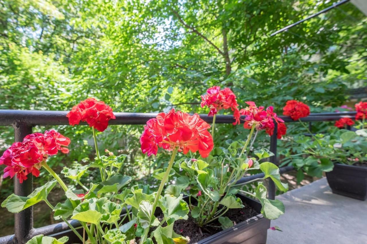 Your Perfect Place To Stay On Vitosha Str Apt ソフィア エクステリア 写真